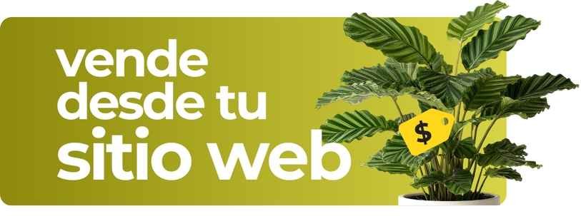 Vende desde tu sitio web Con todo y marketing